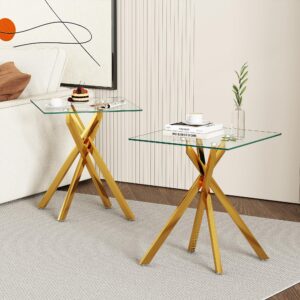 IANIYA Modern Glass End Tables Set of 2 - Stylish and Durable for Any Space (End Table x2, Gold)