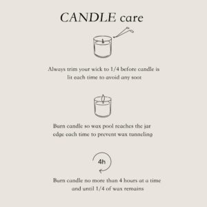 FRANIC White Jasmine Scented Candle, 17.6oz 80 Hours Burn Time, 100% Cotton Wick Uniform Burning, Natural Soy Wax Scented Candle for Home Scented Perfect for Christmas, Birthday, Home