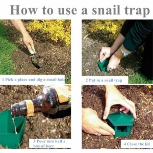 Beer Slug & Snail Tra*ps,1/5 Pcs Snail Tr*ap Catcher Tool,2024 New Reusable Plastic Snail T*rapper,Slug Tr*aps for Garden,Plastic Snail Tr*apper for Vegetable Garden Farm Decor