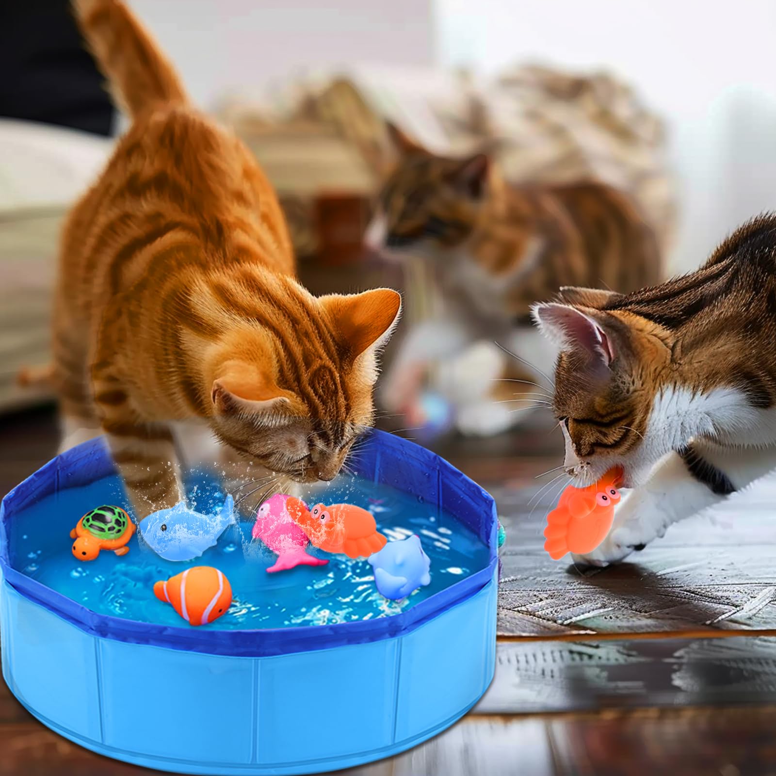 Mity rain Cat Water Toy - Cat Pool with Interactive Fish Toys, Fish Bowl Cat Toys for Indoor Bored Cats Interactive Cat Toys for Indoor Cats, Blue