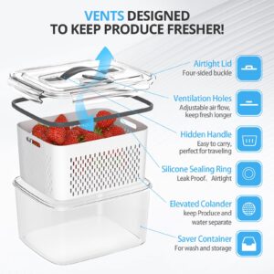 damynuo 10Pack Fruit Storage Containers for Fridge - Fridge Organizers and Storage with Vent and Handle Lids, Fruit Containers for Fridge with Colander, Refrigerator Organizers and Storage Keep Fresh