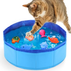 mity rain cat water toy - cat pool with interactive fish toys, fish bowl cat toys for indoor bored cats interactive cat toys for indoor cats, blue