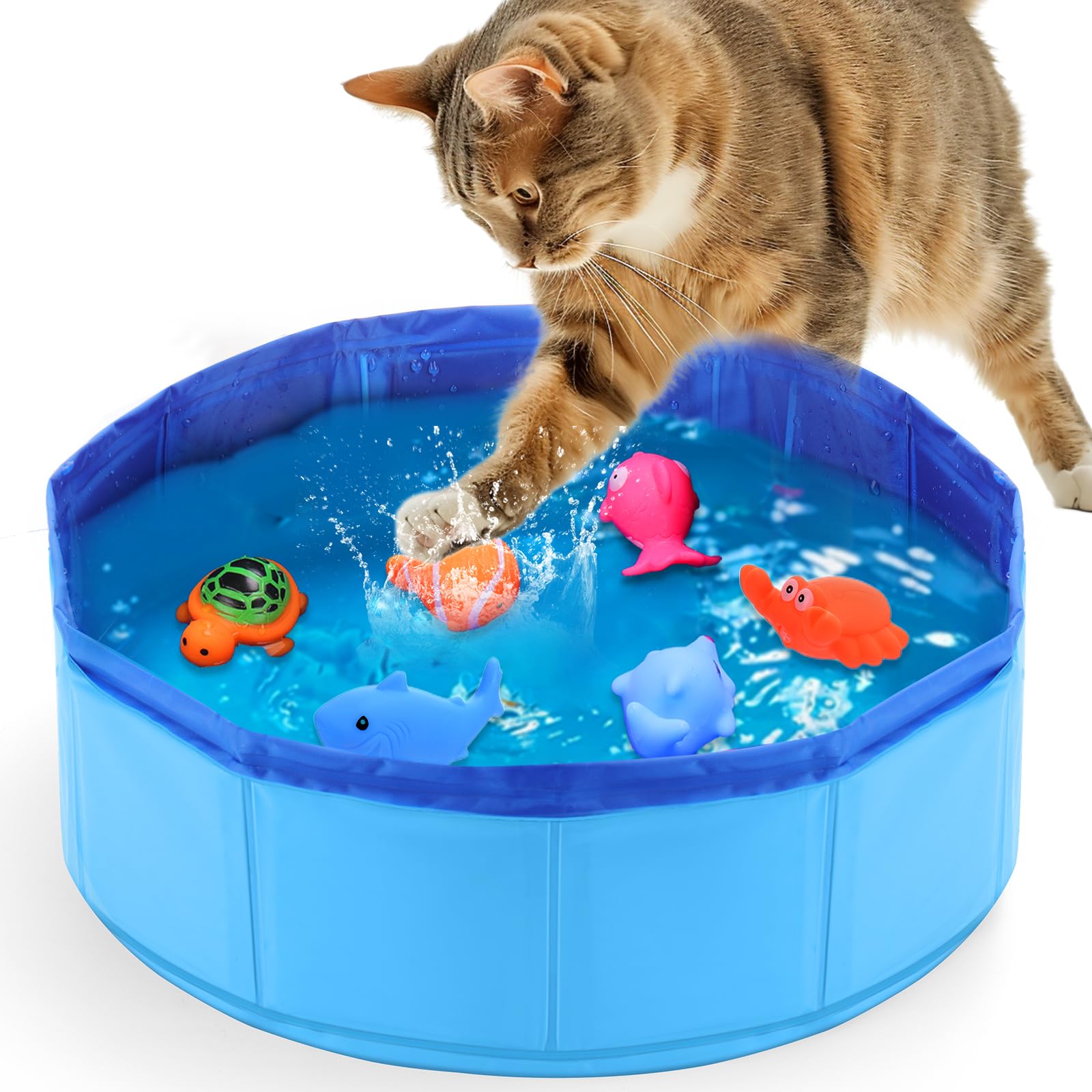 Mity rain Cat Water Toy - Cat Pool with Interactive Fish Toys, Fish Bowl Cat Toys for Indoor Bored Cats Interactive Cat Toys for Indoor Cats, Blue