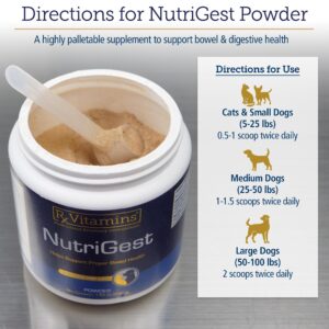 Rx Vitamins NutriGest - Dog Probiotics for Digestive Health - Probiotic for Cats - Cat Digestive Support,Anti Diarrhea for Cats and Dog Gas Relief - Probiotics for Dogs Powder - 4.65oz