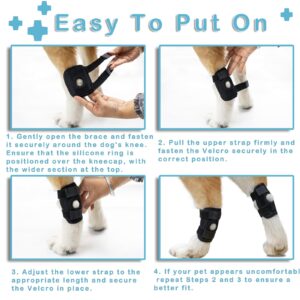 PaaWings 2024 Dog Leg Braces Dog Knee Brace for Back Leg- Dog Hip Brace for Torn Acl and Joint Relief -Dog Leg Sleeve - Dog Back Leg Support and Joint Supplement Black (XL)