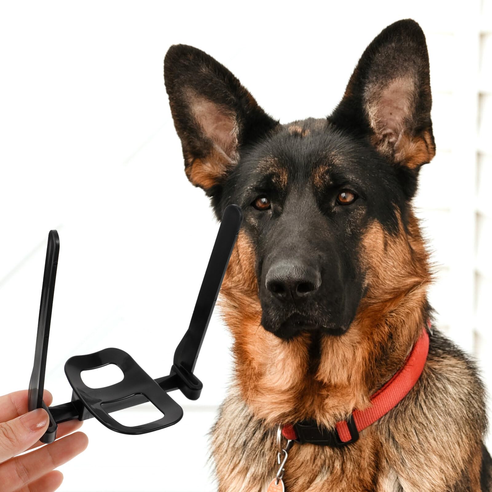 GANAZONO Doberman Dog Ear Posting Kit, Dog Ear Stand Up Support Tool with Tape Fixed Correction Vertical Holder Dog Ear Care Tools for Shepherd Doberman Pinscher Dogs