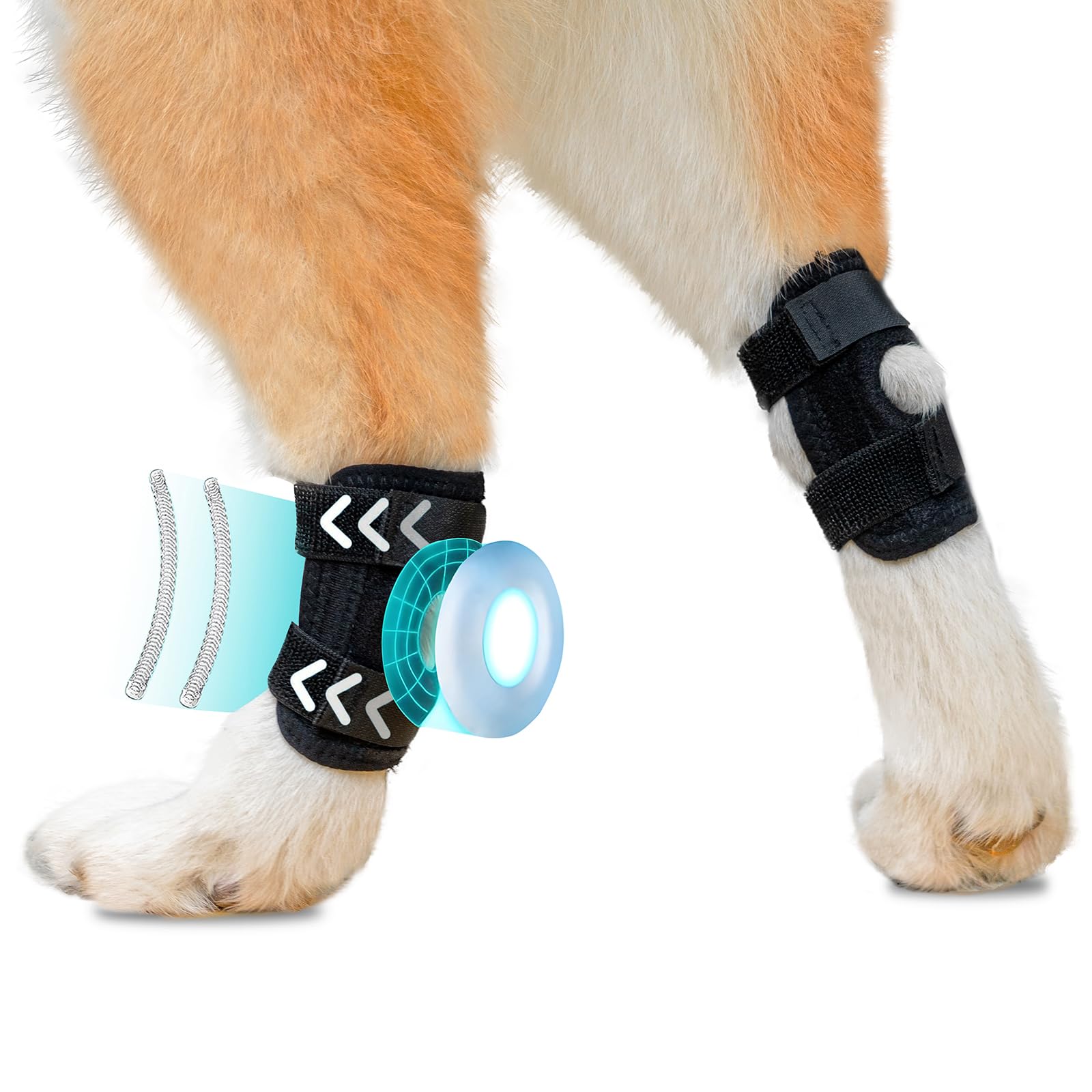 PaaWings 2024 Dog Leg Braces Dog Knee Brace for Back Leg- Dog Hip Brace for Torn Acl and Joint Relief -Dog Leg Sleeve - Dog Back Leg Support and Joint Supplement Black (L)