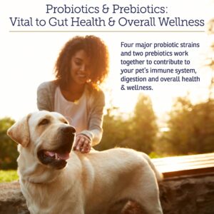 Rx Vitamins Rx Biotic - Probiotic Powder for Dogs and Cats - Cat Digestive Support & Probiotic for Dogs Gut Health - Cat Probiotics for Indoor Cats - Dog Probiotics for Digestive Health - 1.25oz