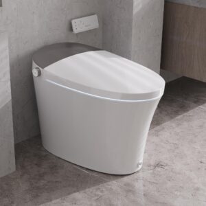 deervalley luxury smart toilet w/bidet built-in, elongated tankless toilet with automatic flush, heated toilet seat, instant bidet warm water and dryer, night light and remote control