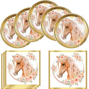 horse birthday party supplies, 20 plates and 20 napkins, cowgirl wild horse birthday party baby shower decorations supplies paper plates napkins for girls kids 20 guests