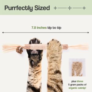 Cat Park Silvervine Sticks for Cats 5 Pcs, Natural Catnip Cat Chew Toys for Indoor Cats Teeth Cleaning, Aggressive Chewers, Kitten Teething Matatabi Chew Stick Cat Toys, Silvervine for Cats Dental Toy