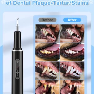 YXFAIRY Dog Tartar Remover for Teeth, Dog Plaque Remover for Teeth, Dog Ultrasonic Teeth Cleaner Toothbrush for Dog Cat, Teeth Cleaning Kit -Tartar Remover for Teeth Stains (Black, 8.46 in)