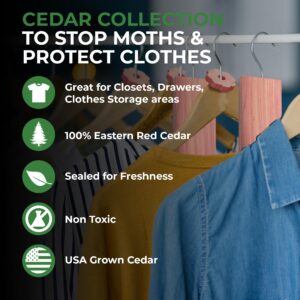 61 Pack Cedar Blocks, Sachets, Rings, Balls – Stop Clothes Damage – The Ultimate Cedar Collection to Protect Your Clothes