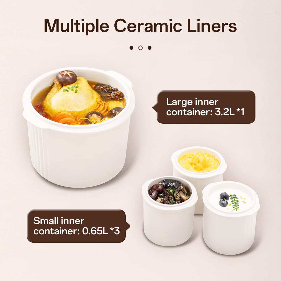 TIANJI Electric Stew Pot, Ceramic Pot for Soup, Desserts, Bird's Nest, Multiple ceramic liners, DGD32-32CG