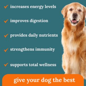 Pawful Pure Harvest - Healthy All Natural Dog Treats - Delicious Peanut Butter Flavor Chews - Made from 14+ Fruits & Veggies - Support Dog Health - No Synthetic Vitamins (90 Chews)