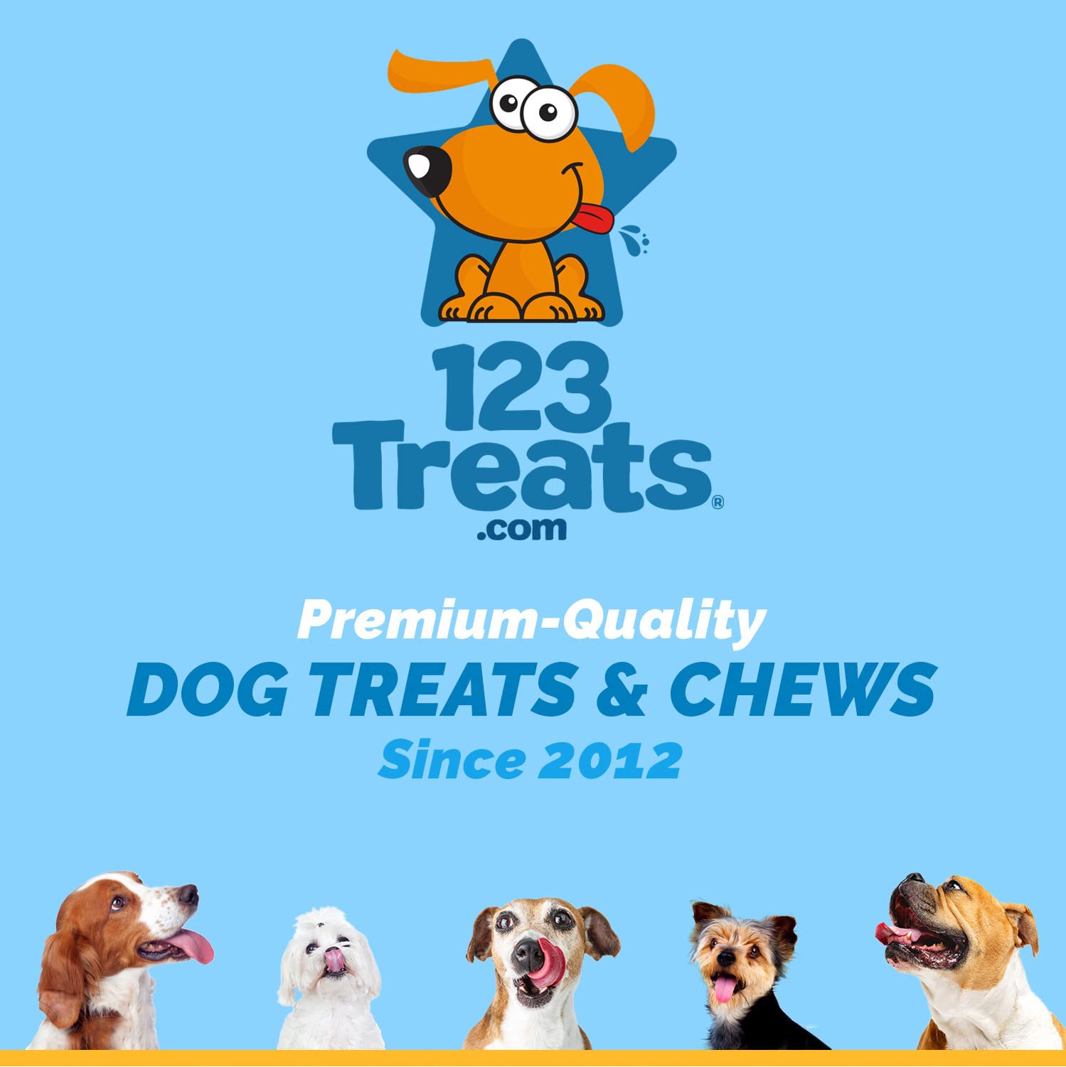 123 Treats Beef Tendon Chews for Dogs – 7-9 inches Beef Strap Chew Sticks, High in Protein, 100% Natural, Grain & Gluten-Free Dog Treats, Great for Dental Health (8 Oz Bag)