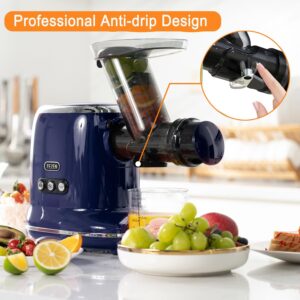 Generic Juicer Machines, Cold Press Juicer with 3 INCH Feed Chute, High Juice Yield, Whole Fruit Juicing Masticating Juicer for Nutrient Fruit and Vegetables, Pure Juice, Blue, ZM1513