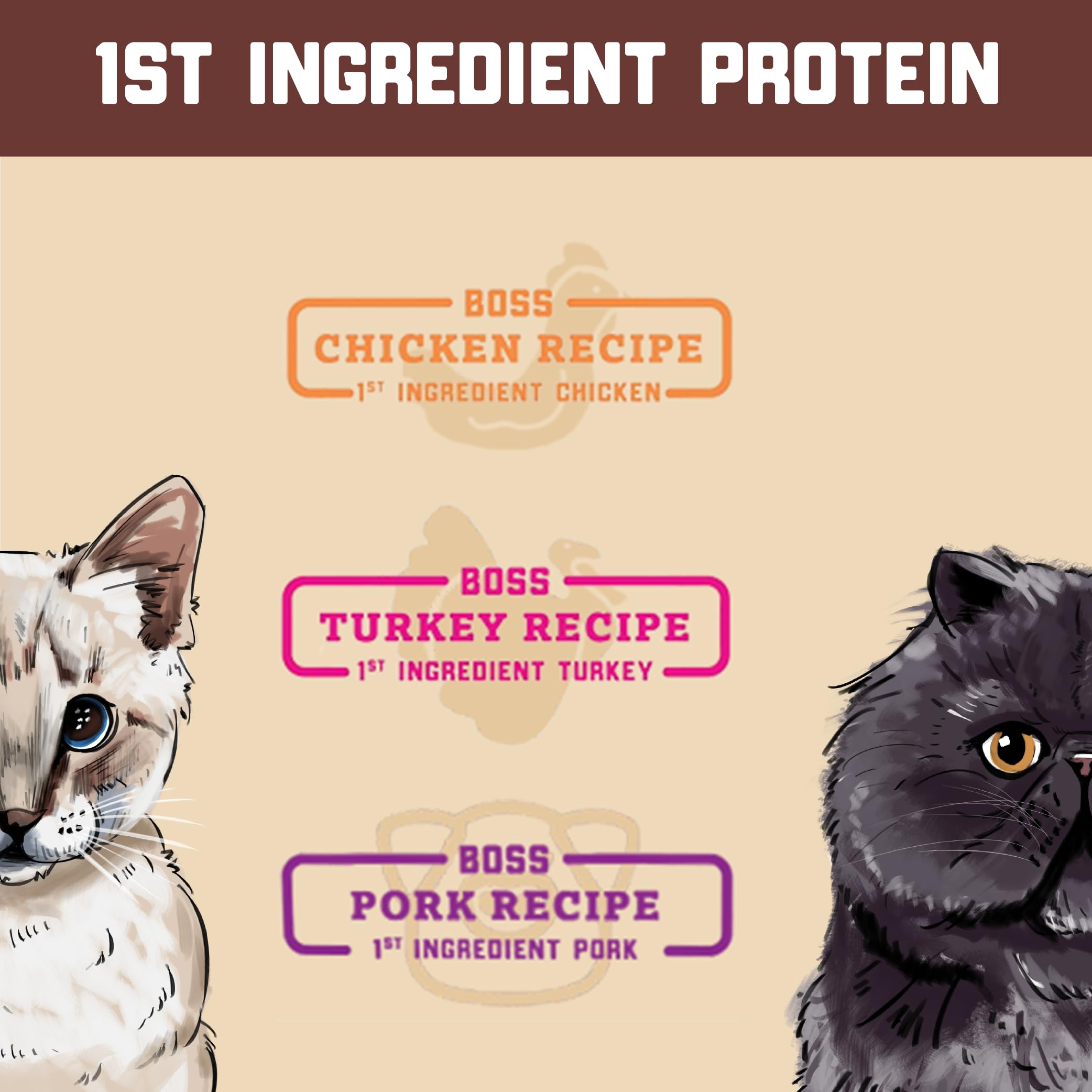 Boss Cat Complete & Balanced Freeze Dried Raw Diet for Cats, Turkey Recipe, 9 oz Bag (Bag of 2)