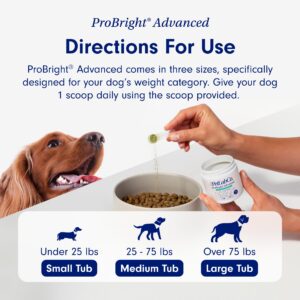 PetLab Co. - Clean Teeth Bundle: Dental Powder for an Effortless Deep Clean in 1 Scoop for Large Dogs & Dental Chew for Delicious Dog Dental Care - Easy to Use - Innovative Formulas