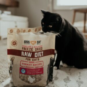 Boss Cat Complete & Balanced Freeze Dried Raw Diet for Cats, Turkey Recipe, 9 oz Bag (Bag of 2)