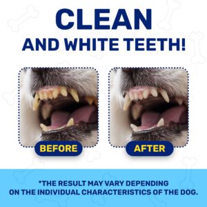 Dog Teeth Cleaning | Dental Powder with Dog Probiotics for Digestive Health | Dog Breath Freshener | Plaque Off Powder Dog & Puppies | Dog Dental Powder with Valerian Flavor | 100 G