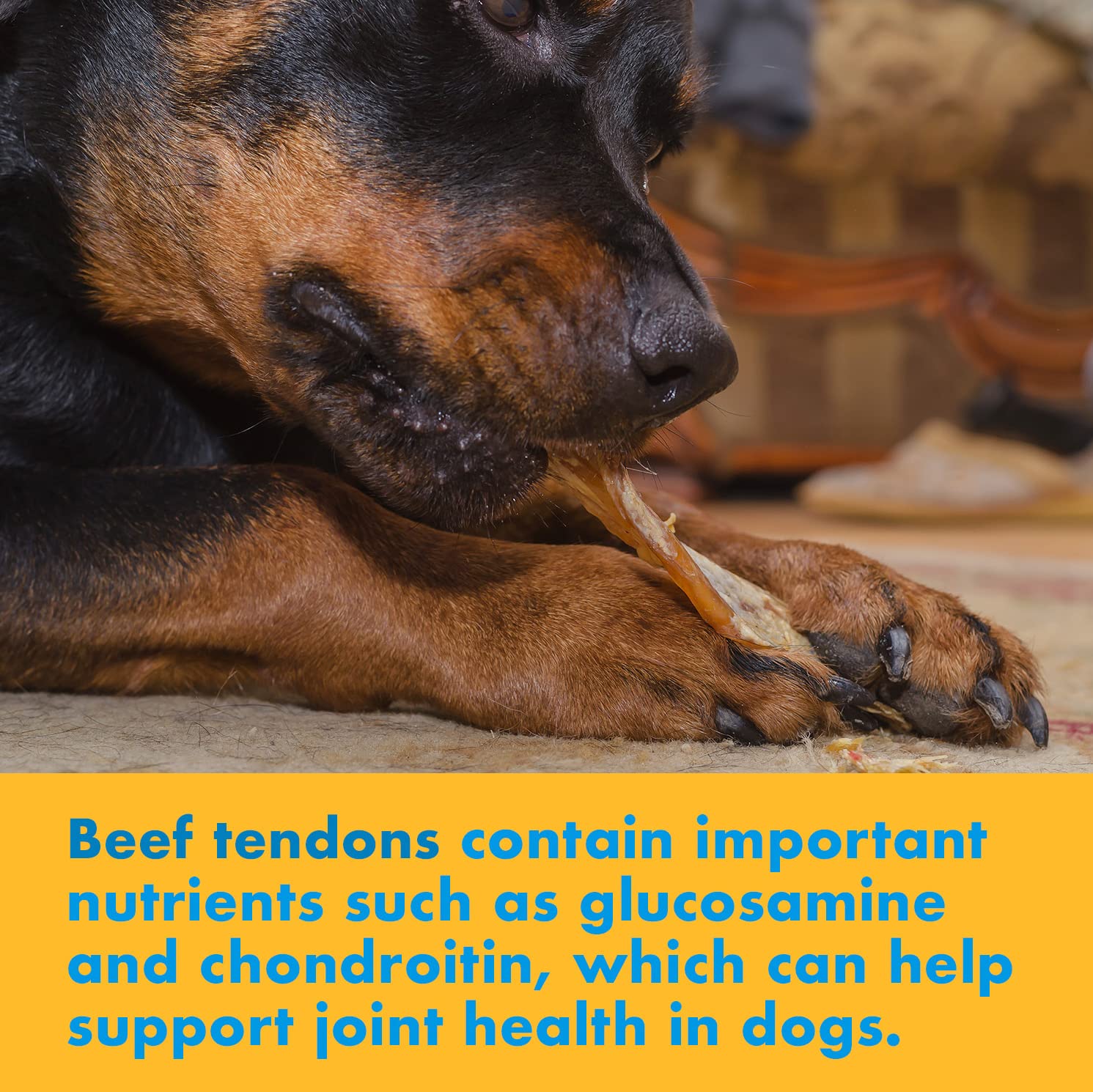 123 Treats Beef Tendon Chews for Dogs – 7-9 inches Beef Strap Chew Sticks, High in Protein, 100% Natural, Grain & Gluten-Free Dog Treats, Great for Dental Health (8 Oz Bag)