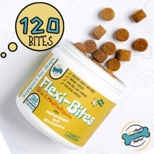 PAWrfect Plates Joint Support Flexy-Bites Supplement for Dogs Glucosamine Chondroitin MSM Large Breed Hip Joint Duck Flavor Chews Vitamins Skin Coat