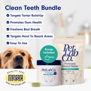 PetLab Co. - Clean Teeth Bundle: Dental Powder for an Effortless Deep Clean in 1 Scoop for Large Dogs & Dental Chew for Delicious Dog Dental Care - Easy to Use - Innovative Formulas