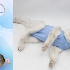 2PCS Cat Cone Collar and Cat Recovery Suit, Anti-Bite, Stop Licking Wounds, Adjustable Soft Elizabethan Cone, Cat Onesie for Female Cat After Surgery