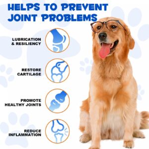 Hip & Joint Support Liquid Supplement for Dogs, Hip & Joint Glucosamine Drops for Dogs, Glucosamine for Dogs, Supports Joint Health, Dog Joint Pain Relief Treats, Liquid Glucosamine for Dogs