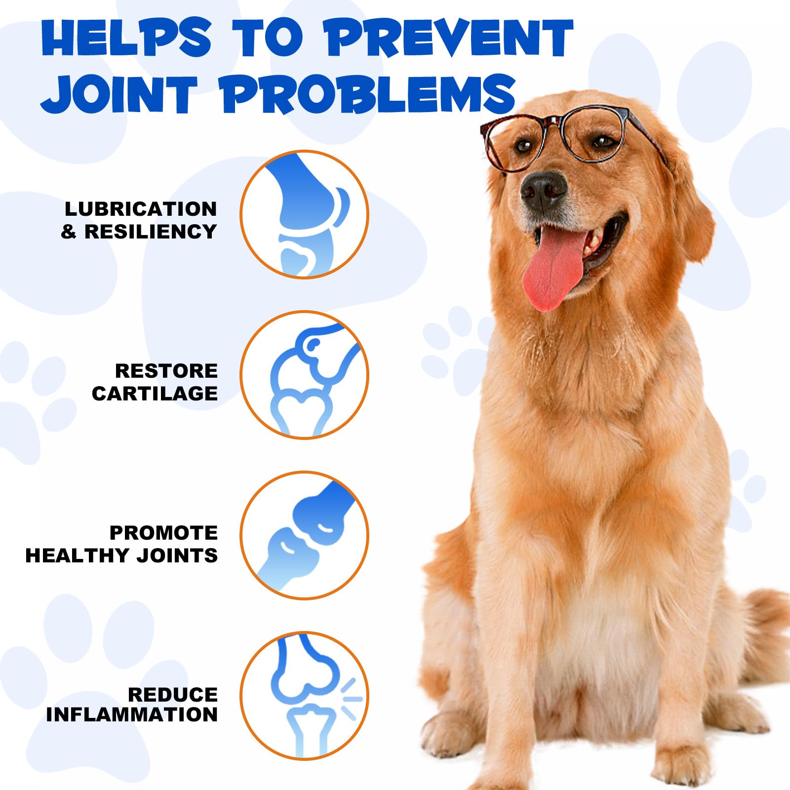 Hip & Joint Support Liquid Supplement for Dogs, Hip & Joint Glucosamine Drops for Dogs, Glucosamine for Dogs, Supports Joint Health, Dog Joint Pain Relief Treats, Liquid Glucosamine for Dogs