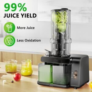 Catlyn Cold Press Juicer Machines, 5.3-inch Extra Large Feed Chute Easy to Clean Fruit Vegetable Jugos Professional Slow Masticating Juicer Machine Bpa Free