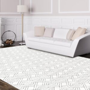 Pcinfuns Area Rug 3x5, Washable Rug for Living Room,Non Slip Rugs for Bedroom, Morden Farmhouse Indoor Floor Carpet for Bathroom Dining Room, Grey White Geometry