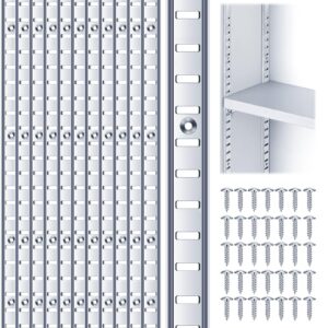 yvtcrtcw 12 pack shelf pilaster with screws, stable structure 39 inch thicken metal mortise mount shelf rail, lengthen adjustable wall shelves for wall shelving system closet organization, silver