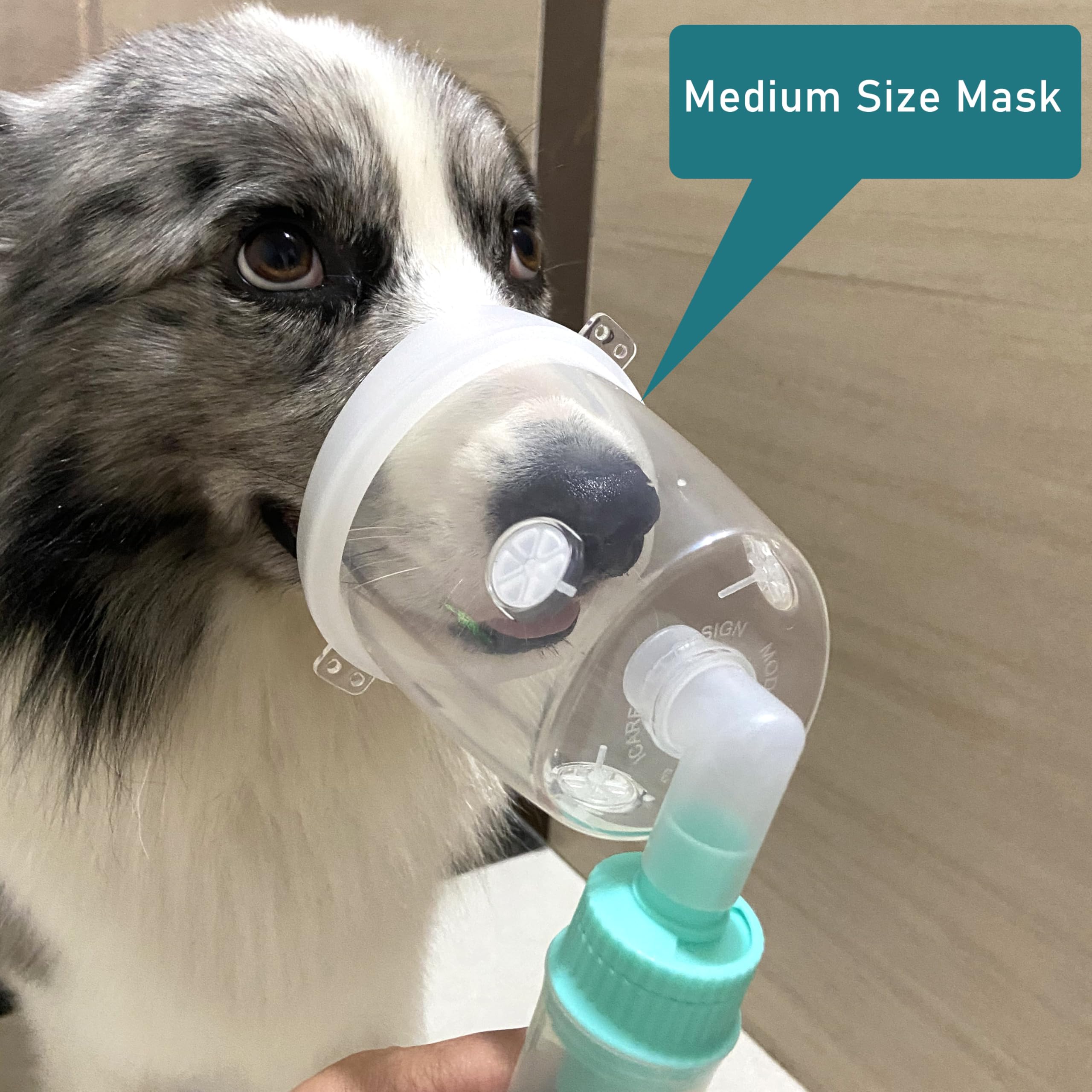 Canine Aerosol Chamber Inhaler Spacer for Cats, Dogs, Horse and Other Wildlife (M- Medium Dogs)