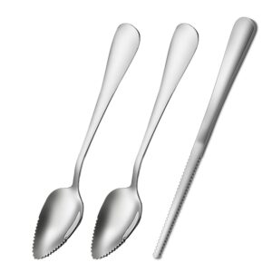 grapefruit spoons serrated edge stainless steel fruit knife grapefruit utensils tool dessert spoons for citrus lemon kiwi salads melon lime pitaya apple fruit puree