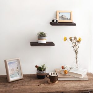 Mkono Floating Shelves, Set of 2 Rustic Wood Wall Mounted Shelves with Invisible Brackets Plant Photo Display Ledges Shelves for Wall Decor, Modern Storage Shelves for Bathroom Living Room Bedroom