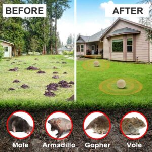 Mole Repellent for Lawns, Gopher Repellent, Mole & Vole Repellent, Mole Deterrent for Yard/Garden, Vole Repellent Outdoor,Mole and Gopher Repellent, Get Rid of Mole, Groundhog Repellent-12P