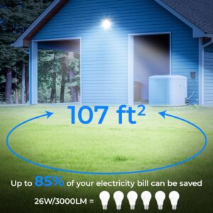 CINOTON 42W LED Barn Light Dusk to Dawn Outdoor Lighting, Black 2 Pack & 26W LED Wall Pack Light with Dusk to Dawn Sensor 4 Pack-Gray