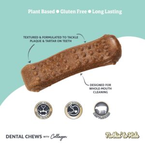 Fieldcrest Farms Nothing to Hide All Natural Rawhide Alternative Dental Bones Dog Chews - & Magnet, Plant Based Wave Treat Chews for Dental Health (Medium)