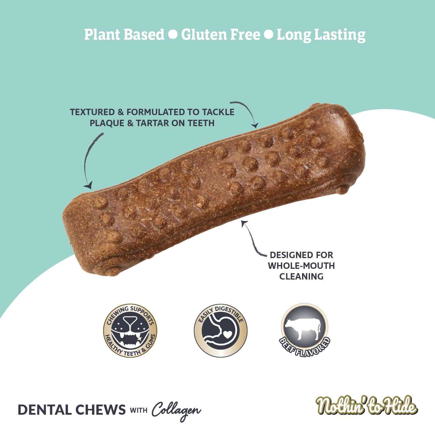 Fieldcrest Farms Nothing to Hide All Natural Rawhide Alternative Dental Bones Dog Chews - & Magnet, Plant Based Wave Treat Chews for Dental Health (Medium)