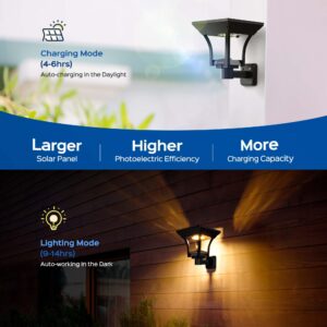 CINOTON 42W LED Barn Light Dusk to Dawn Outdoor Lighting, Black 2 Pack & Outdoor Solar Landscape Pathway Lights 4 Pack