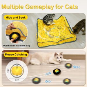 Muhhiba Interactive Cat Toys for Indoor Cats, Electric Cat Ball Fast Rolling in Pouch, Motion Activated Chirping Cat Toy, Hide and Seek Cat Toy with LED Light