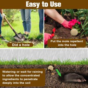 Dsdgkmk Mole Repellent for Lawns, Gopher Repellent, Mole & Vole Repellent, Mole Deterrent for Yard/Garden, Vole Repellent Outdoor,Mole and Gopher Repellent, Get Rid of Mole, Groundhog Repellent -8P