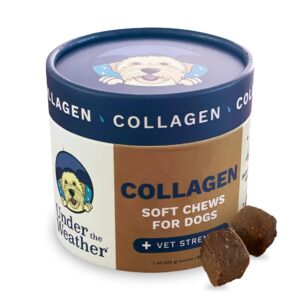 under the weather collagen chews for dogs | promotes healthy skin coat and stronger hip & joint | improves overall mobility | immunity and anti-inflammatory collagen for dog supplement | 60 count