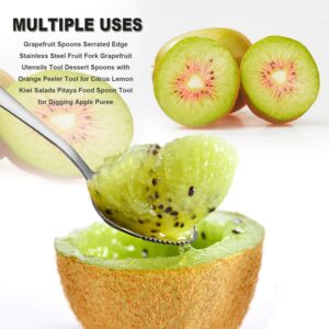 Grapefruit Spoons Serrated Edge Stainless Steel Fruit Knife Grapefruit Utensils Tool Dessert Spoons for Citrus Lemon Kiwi Salads Melon Lime Pitaya Apple Fruit Puree