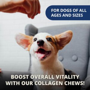 Under the Weather Collagen Chews for Dogs | Promotes Healthy Skin Coat and Stronger Hip & Joint | Improves Overall Mobility | Immunity and Anti-inflammatory Collagen for Dog Supplement | 60 Count