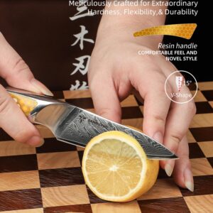 SANMUZUO 3.5 inch Paring Knife, Japanese VG-10 Damascus Steel Kitchen Knife, Ultra Sharp Fruit Knife with Full-tang Handle in Yellow Resin, LA-S9 Series