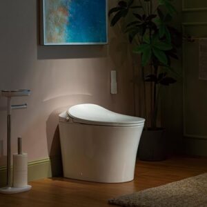 WOODBRIDGE Smart Bidet Toilet with Auto Open/Close Lid, Foot Sensor Operation,Dual Auto Flush, Heated Seat, Power Outage Flush,Hygienic Wash,Night Light,LT610