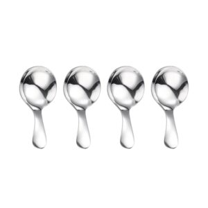 wangshiqi short handle spoons,4 pcs small scoops for canisters, stainless steel mini salt spoons for salt sugar condiments coffee tea dessert (4, silvery)